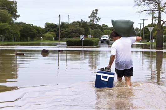 Wealth GPT Supports Florida Residents After Hurricane Michael